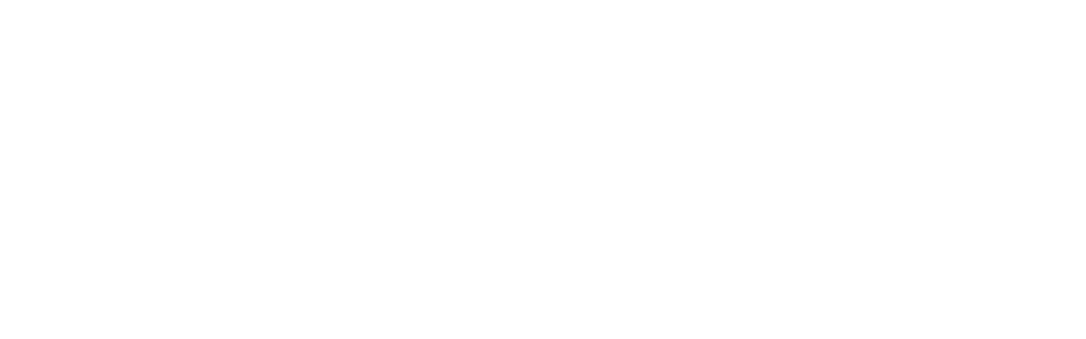 steigen solution